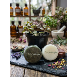 Combo capilar Champú + Acondicionador