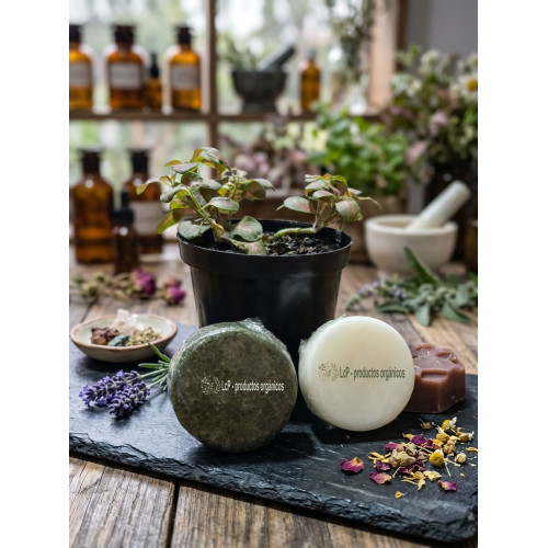 Combo capilar Champú + Acondicionador